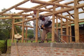Bamboo used as construction material PPT Download