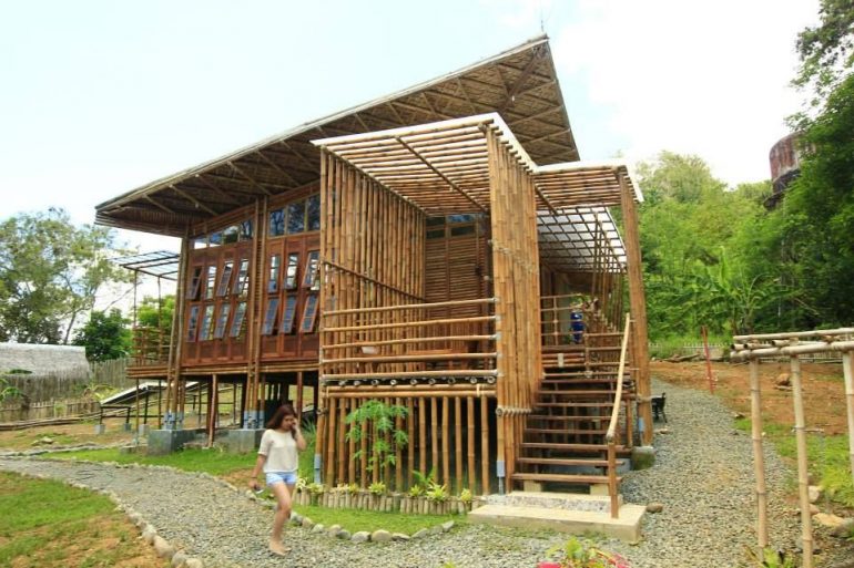 Why Bamboo is Used as a Building Material