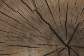 What is Timber in Construction