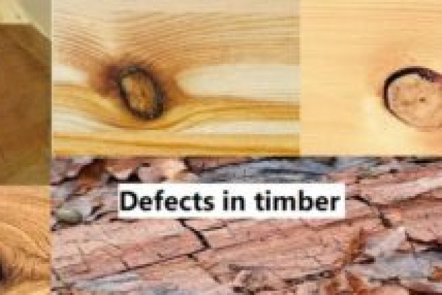 Defects in timber | Causes of timber defects