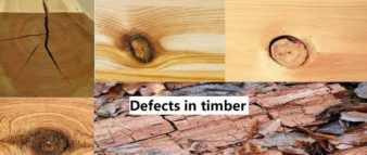 Defects in timber | Causes of timber defects