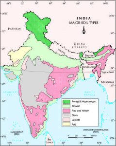 What are the 8 major types of soil in India?