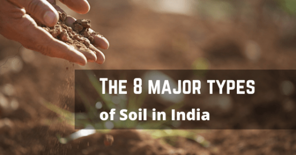 What are the 8 major types of soil in India?