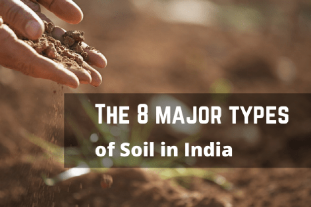 What are the 8 major types of soil in India?
