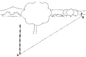 Direct Ranging