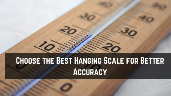 How to Choose the Best Hanging Scale for Better Accuracy?