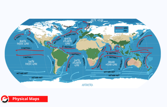 Physical Maps