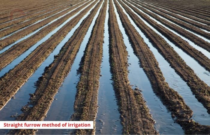 Furrow Irrigation Method - Types, Uses, Advantages and Disadvantages