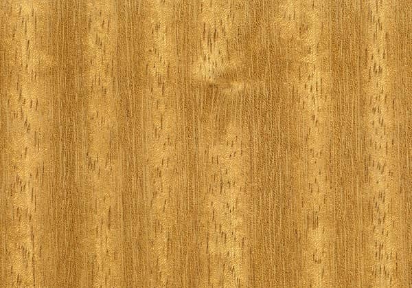 Iroko Wood