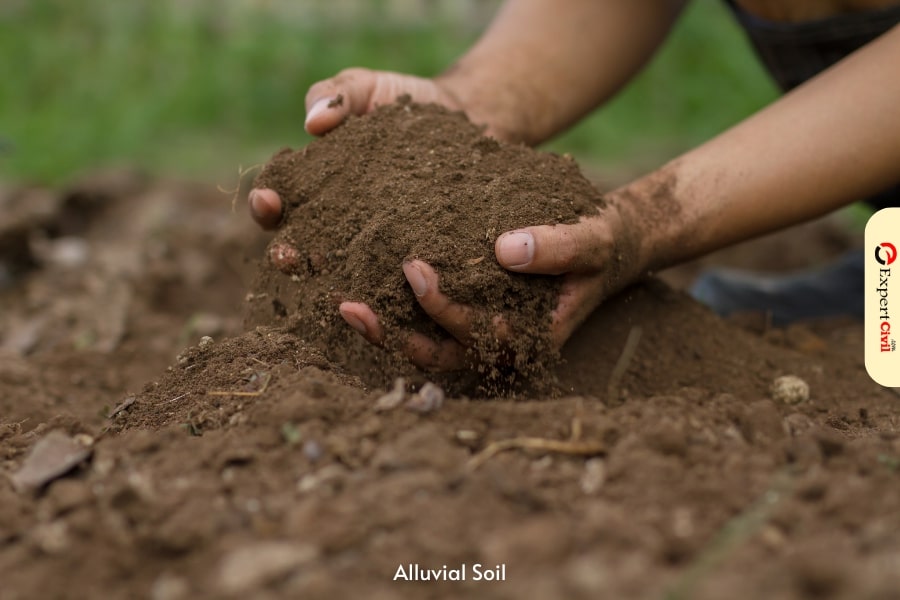 alluvial soil crops