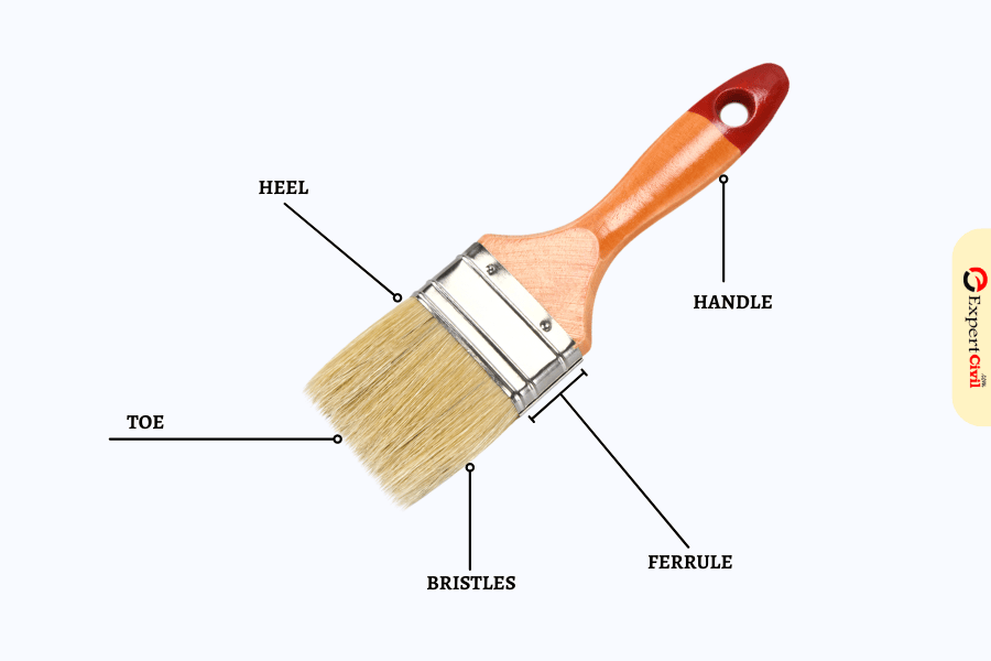 Various Parts of Paintbrush
