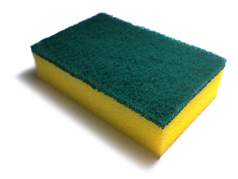 Plant-Based Polyurethane Rigid Foam