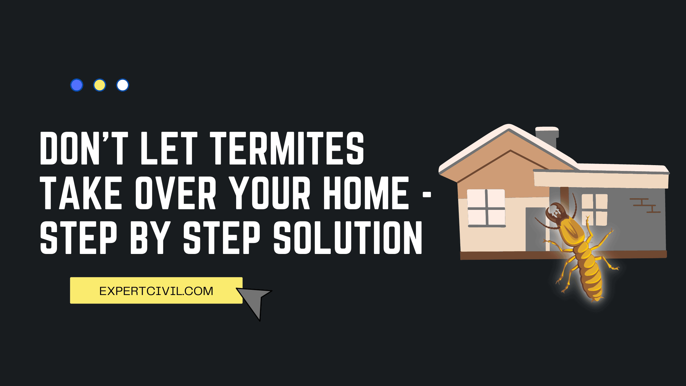 Don’t Let Termites Take Over Your Home: A Step-By-Step Guide To Getting Rid Of Them