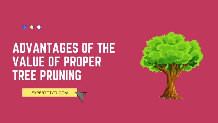 Advantages of the Value of Proper Tree Pruning